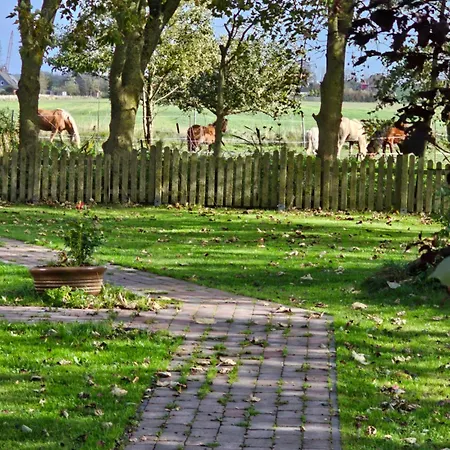 Finkhaus * Simonsberg