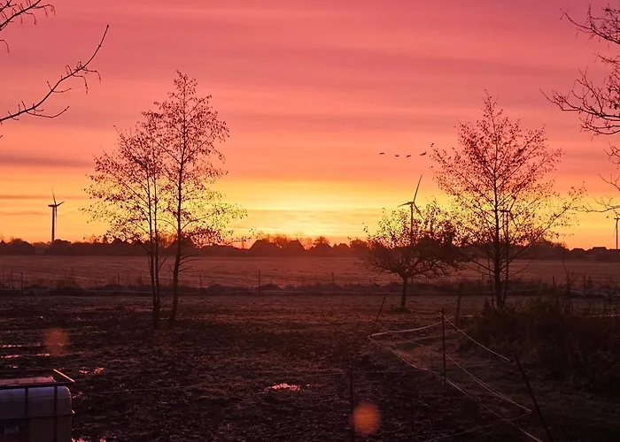 Appartement Finkhaus *