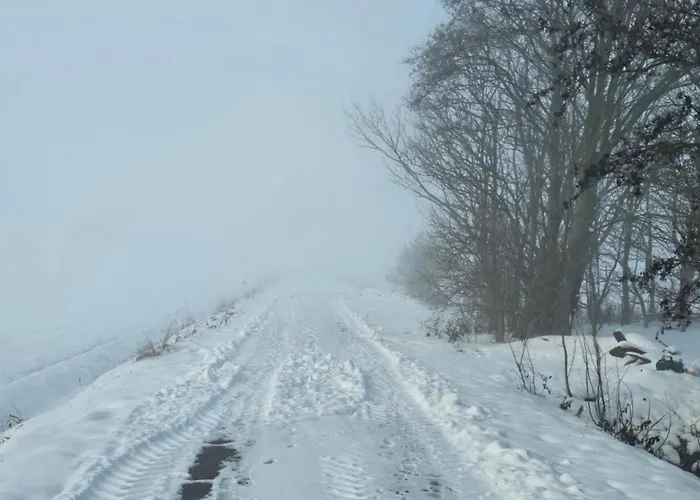 Finkhaus * Simonsberg