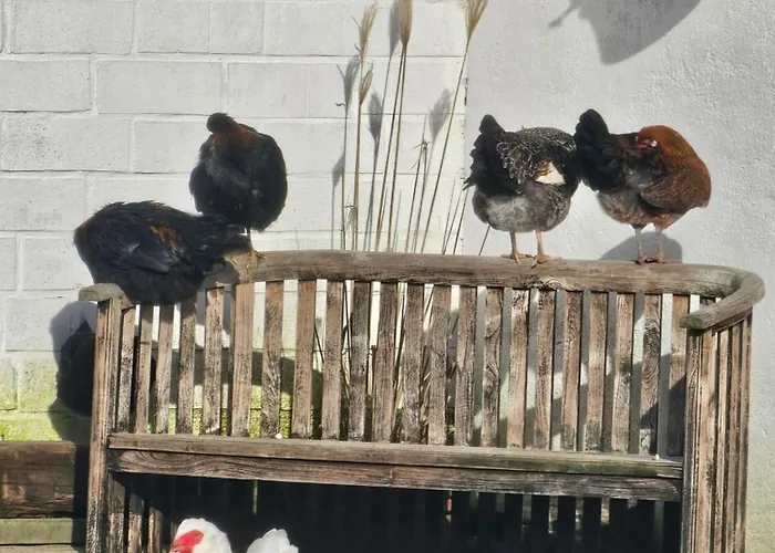 Finkhaus Appartement Simonsberg